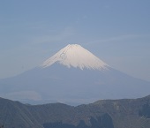 フリーエンジニア